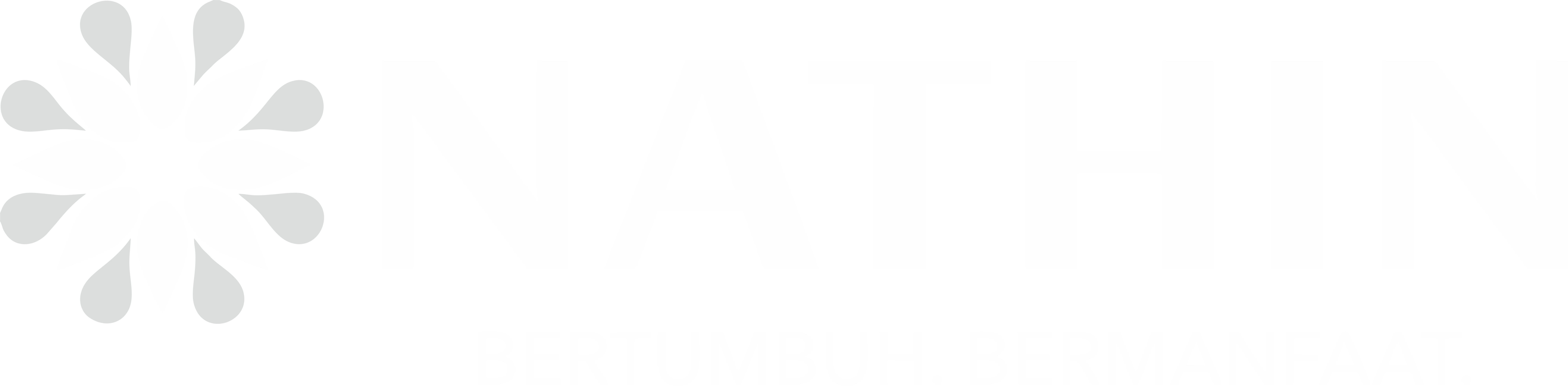 alternative